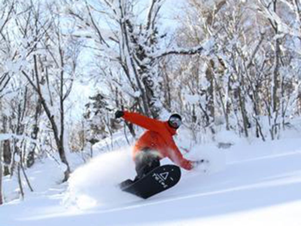 The Top 5 Fun Shapes - Ranquet is rockin' it - ka:risma concept